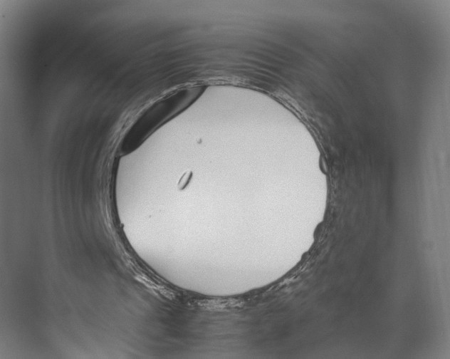 X0000071950241200608041600