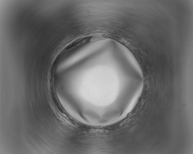 X0000071950242200608041600