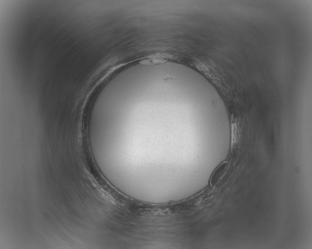 X0000071950243200608041600