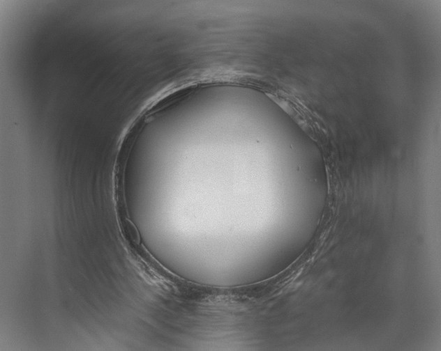 X0000071950244200608041600