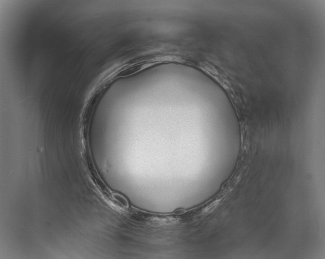 X0000071950245200608041600