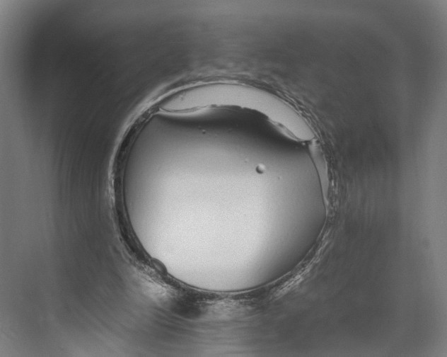 X0000071950246200608041600