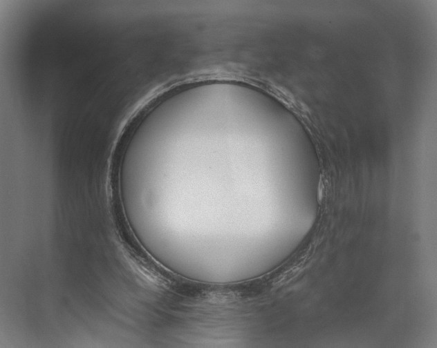 X0000071950248200608041600