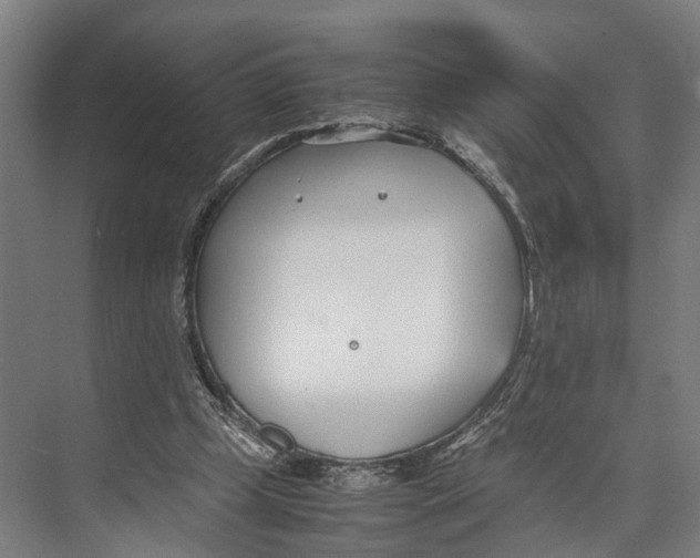 X0000071950249200608041600