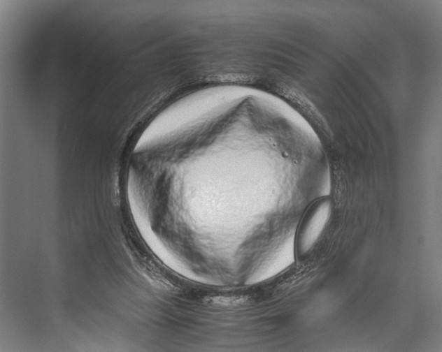 X0000071950251200608041600