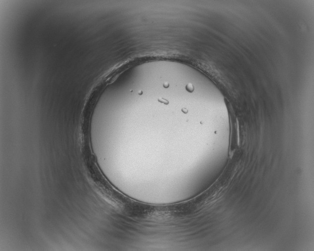 X0000071950252200608041600