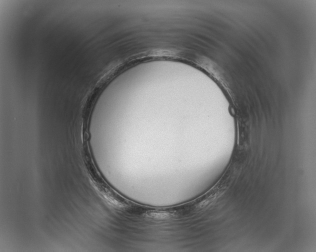 X0000071950253200608041600