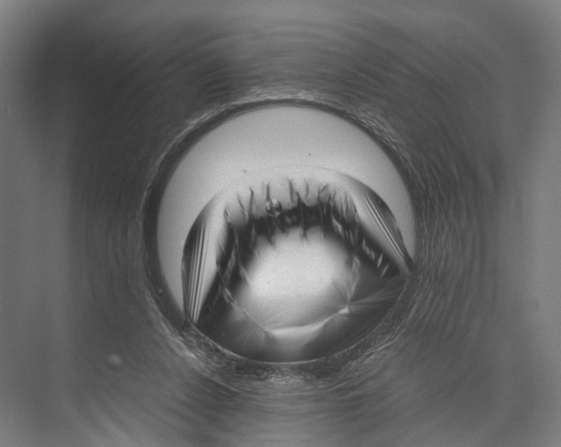 X0000071950256200608041601