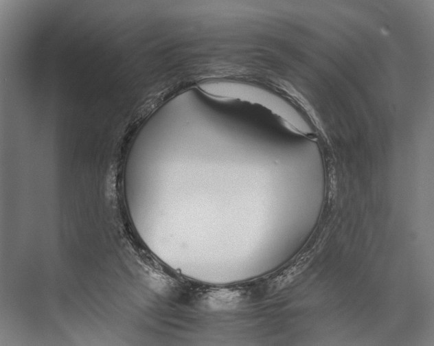 X0000071950257200608041601