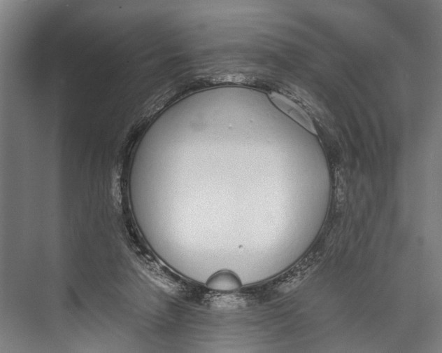 X0000071950258200608041601