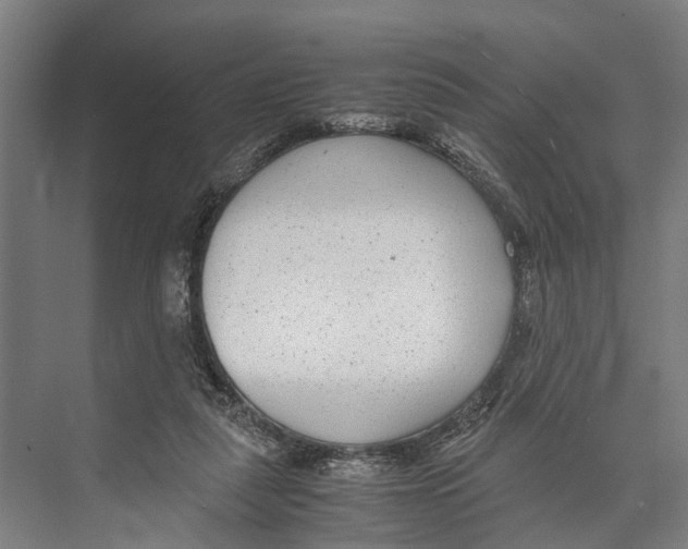 X0000071950259200608041601