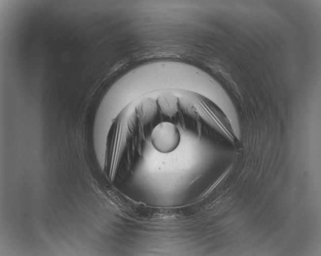 X0000071950260200608041601