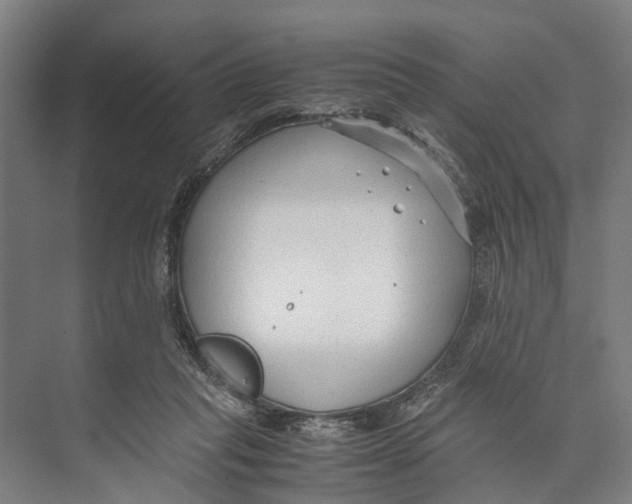 X0000071950261200608041601