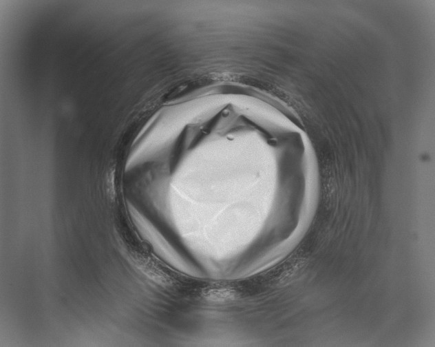 X0000071950262200608041601