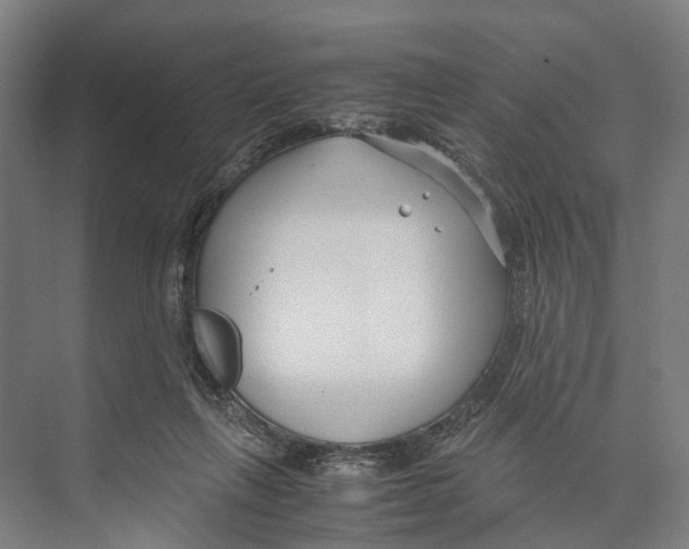 X0000071950263200608041601