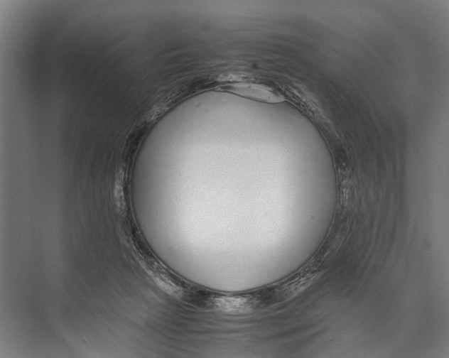 X0000071950265200608041601