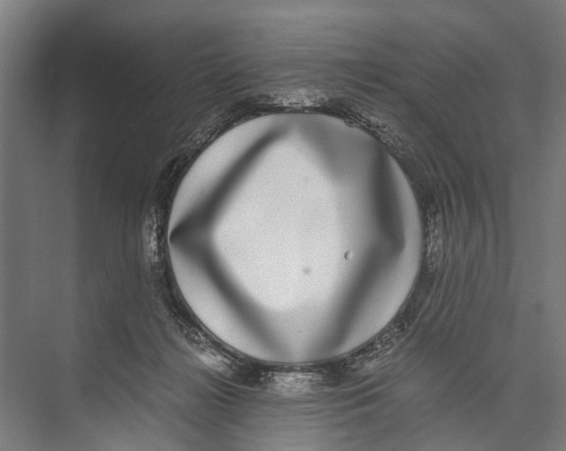 X0000071950268200608041601