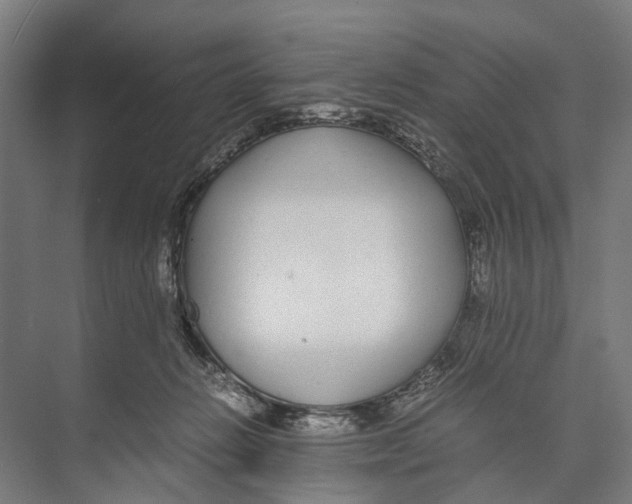 X0000071950270200608041601