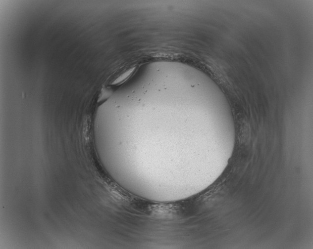 X0000071950273200608041601