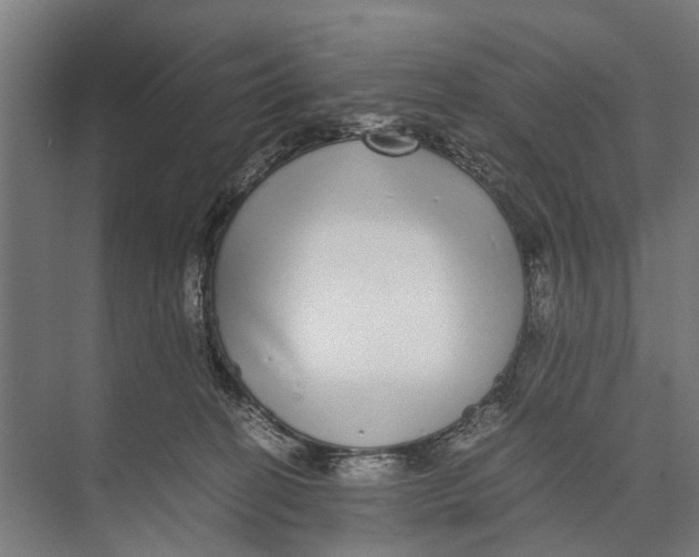 X0000071950274200608041601