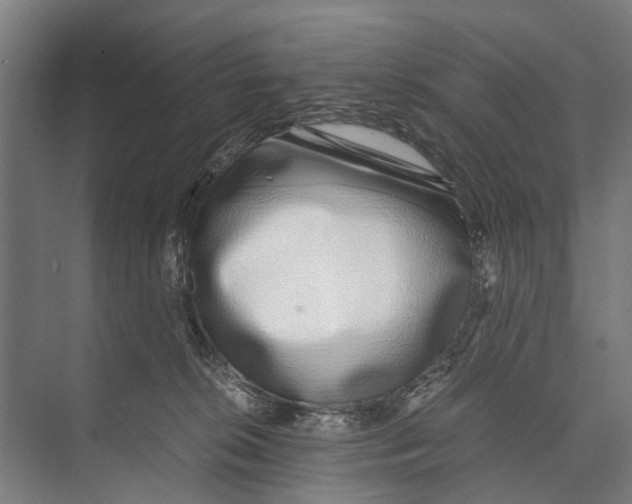 X0000071950276200608041601