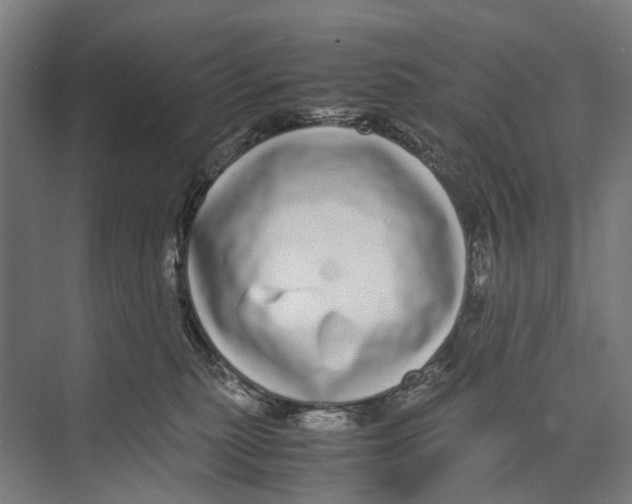 X0000071950279200608041601