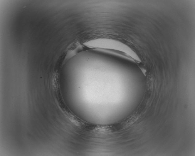 X0000071950280200608041601