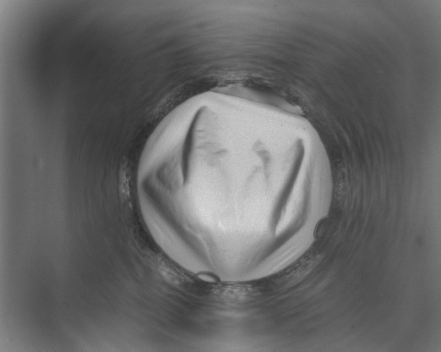 X0000071950282200608041601