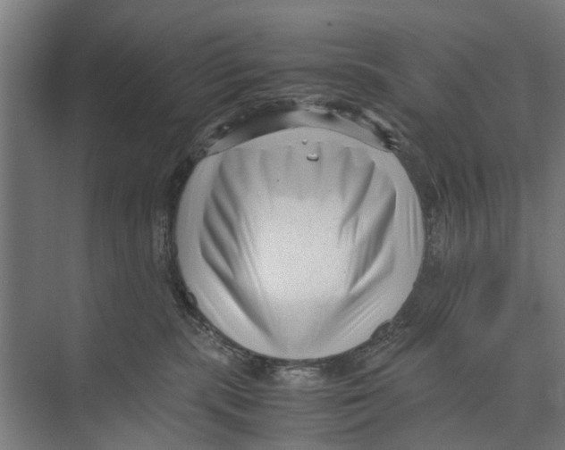 X0000071950283200608041601