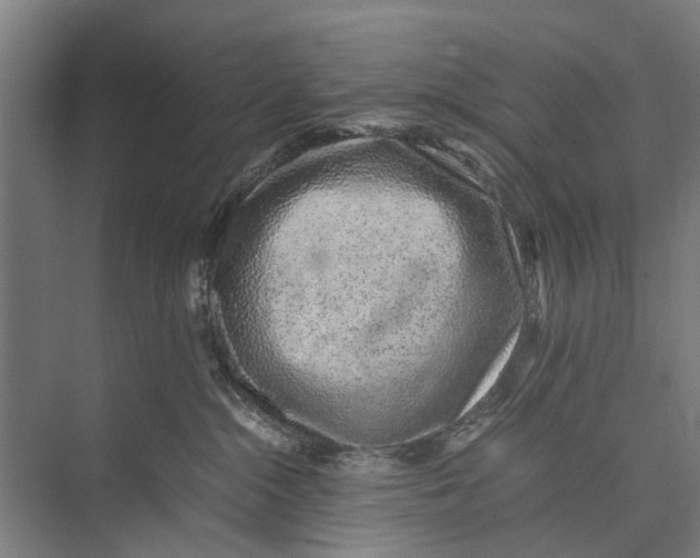 X0000071950284200608041601