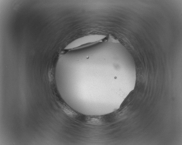 X0000071950285200608041601