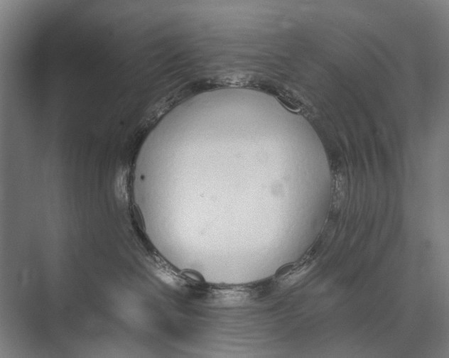 X0000071950286200608041601