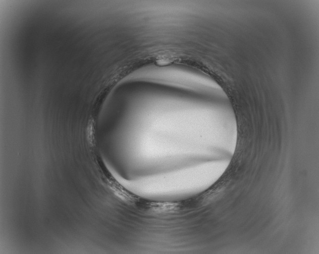 X0000071950288200608041601