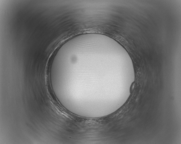 X0000071950290200608041600