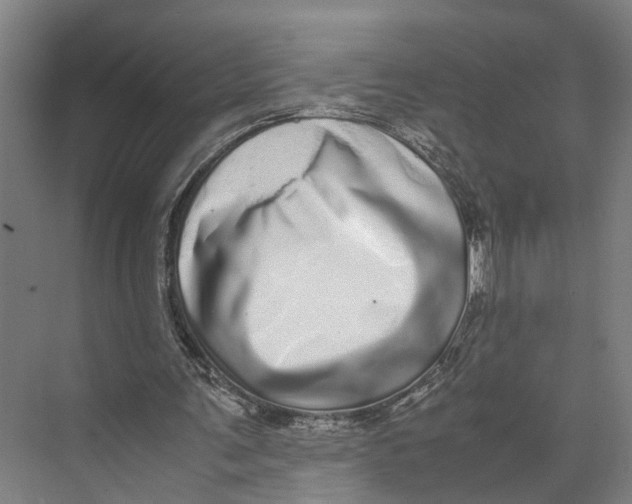 X0000071950291200608041600