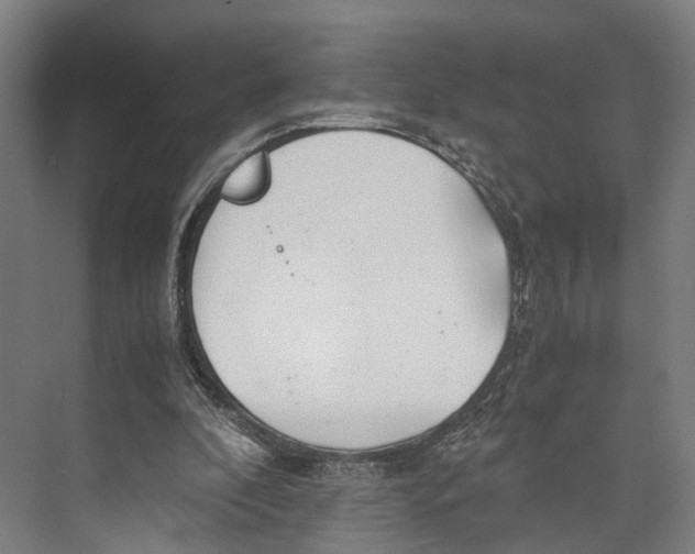 X0000071950296200608041600