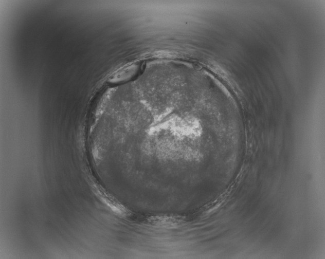 X0000071950297200608041600