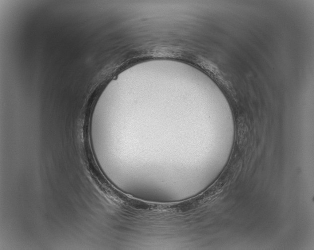 X0000071950299200608041600