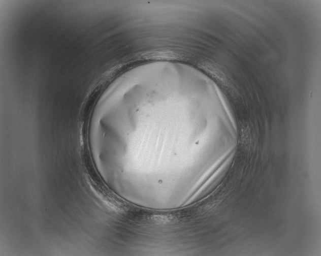 X0000071950302200608041600