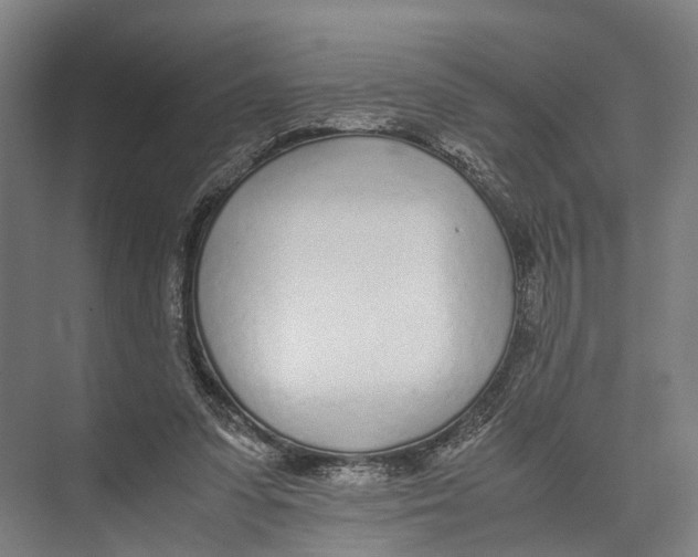 X0000071950303200608041600