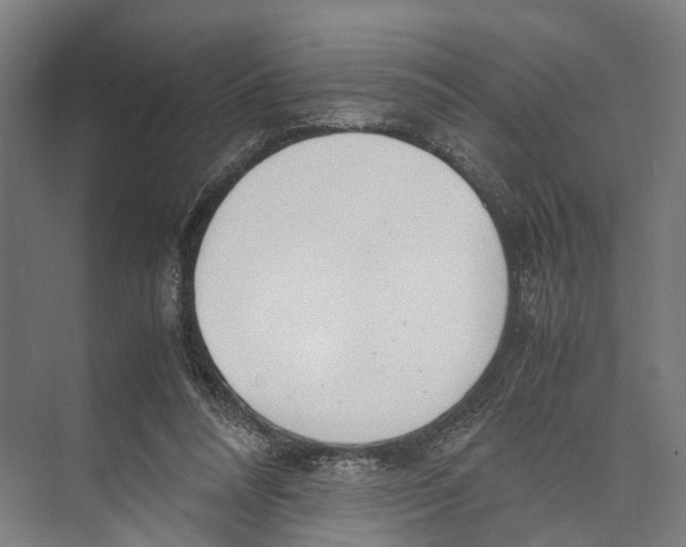 X0000071950304200608041600