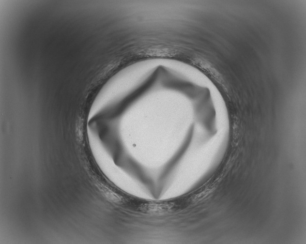 X0000071950305200608041600