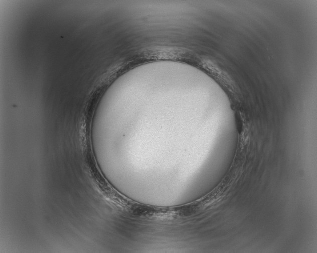 X0000071950306200608041600