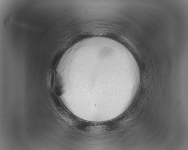 X0000071950307200608041600