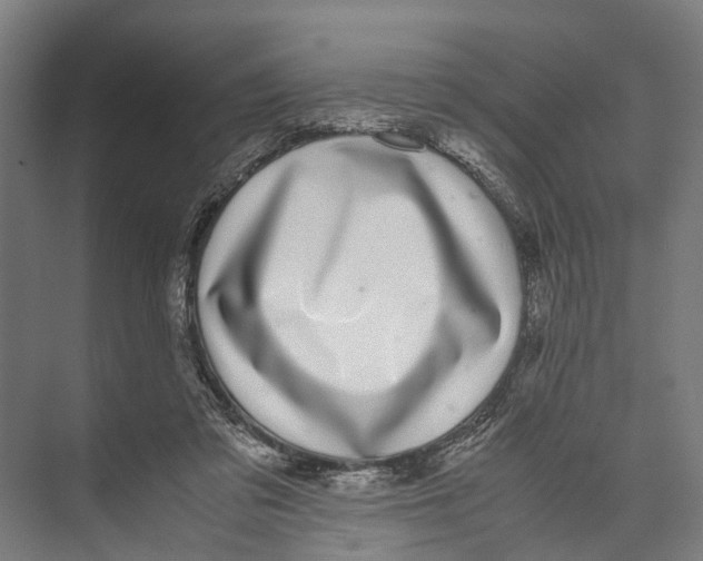 X0000071950309200608041600