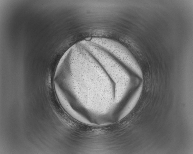 X0000071950310200608041600