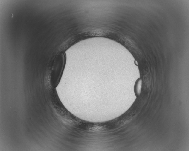 X0000071950312200608041600