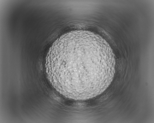 X0000071950313200608041600