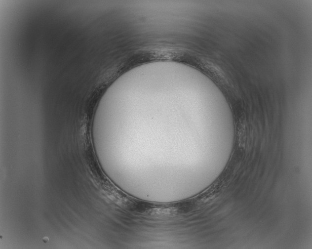 X0000071950314200608041600