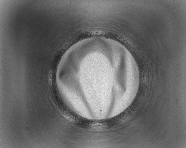 X0000071950315200608041600